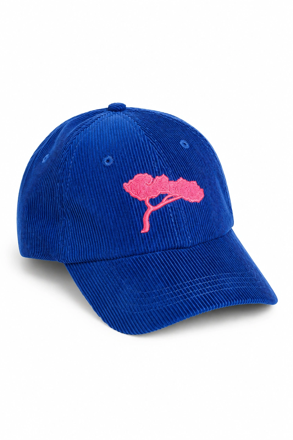 L'Indispensable ,Casquette Velours Bleue.